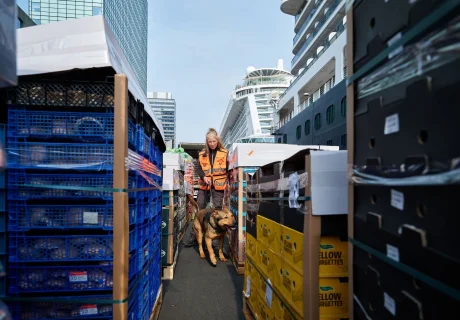Cargo (vracht) controle ondermijning mainports