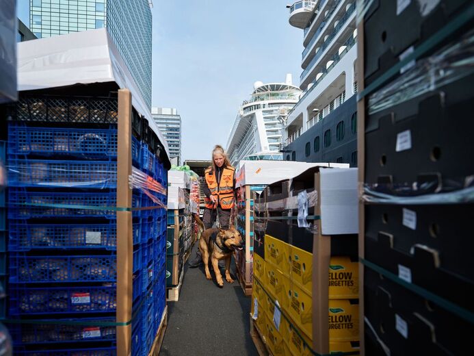 Cargo controle ondermijning mainports