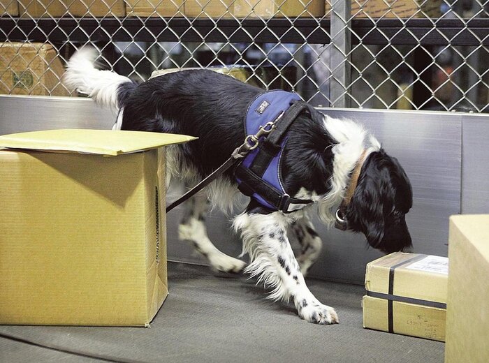 Post Pakket controles