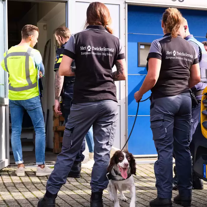 Advies en traject begeleiding